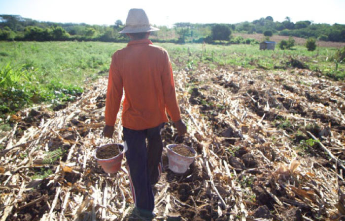 A villager carries buckets of compost on a farm in Pemongkong village in East Lombok, eastern Indonesia. - Reuters