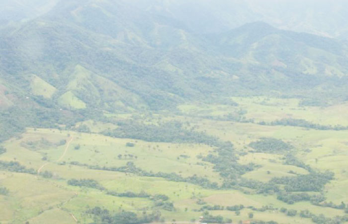 Forests in the province of Caqueta, Colombia. — Reuters